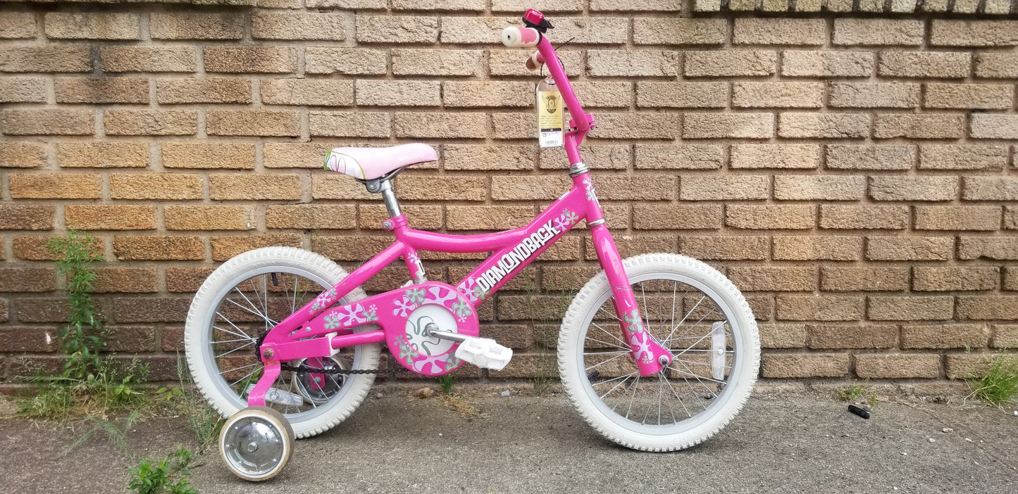 Diamondback 16" Pink