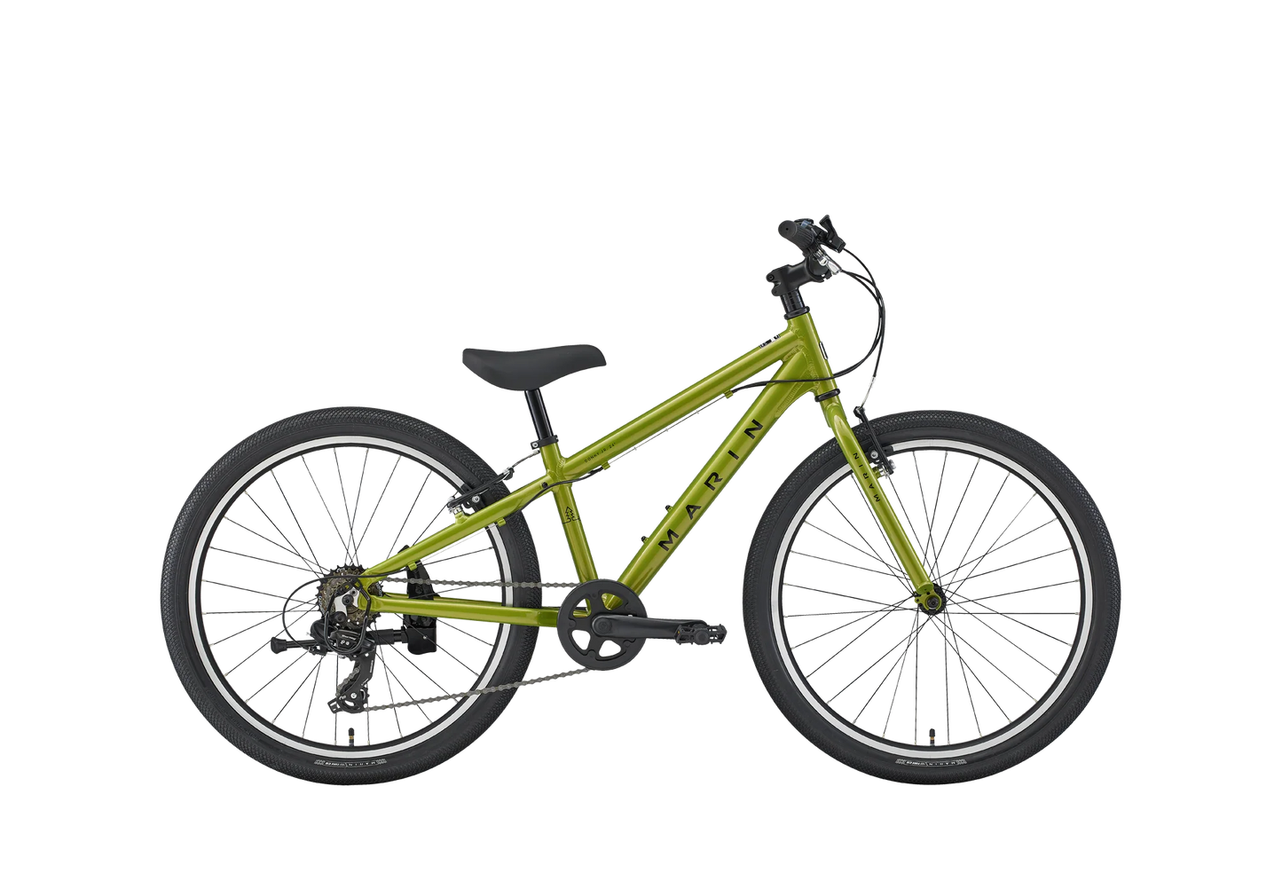 Marin Donky Jr. 24