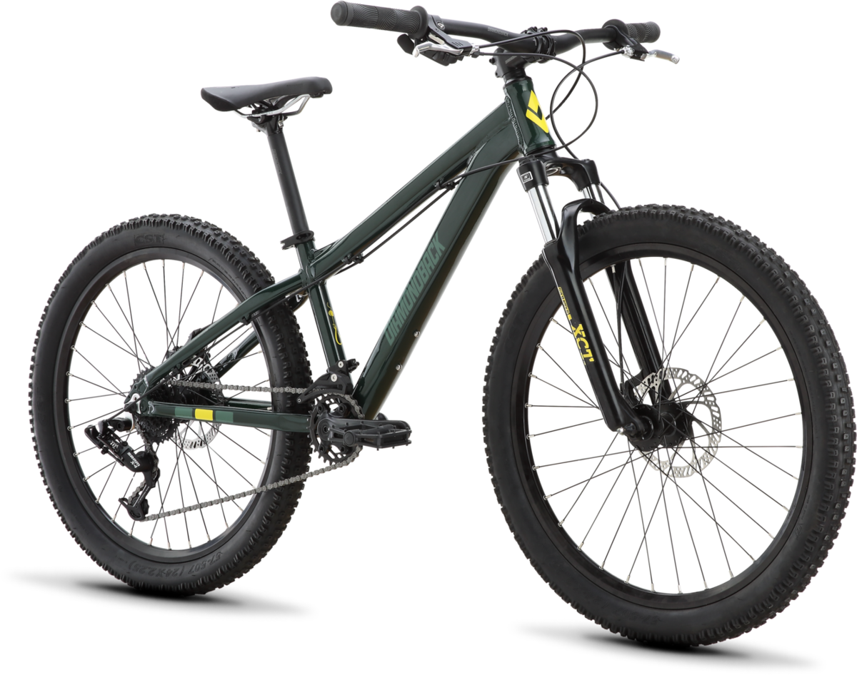 Diamondback Line / 24