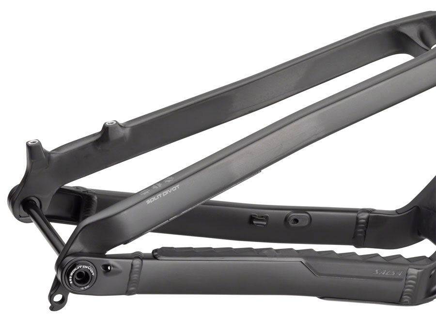 Salsa Blackthorn Carbon Frame - Carbon Raw X-Large