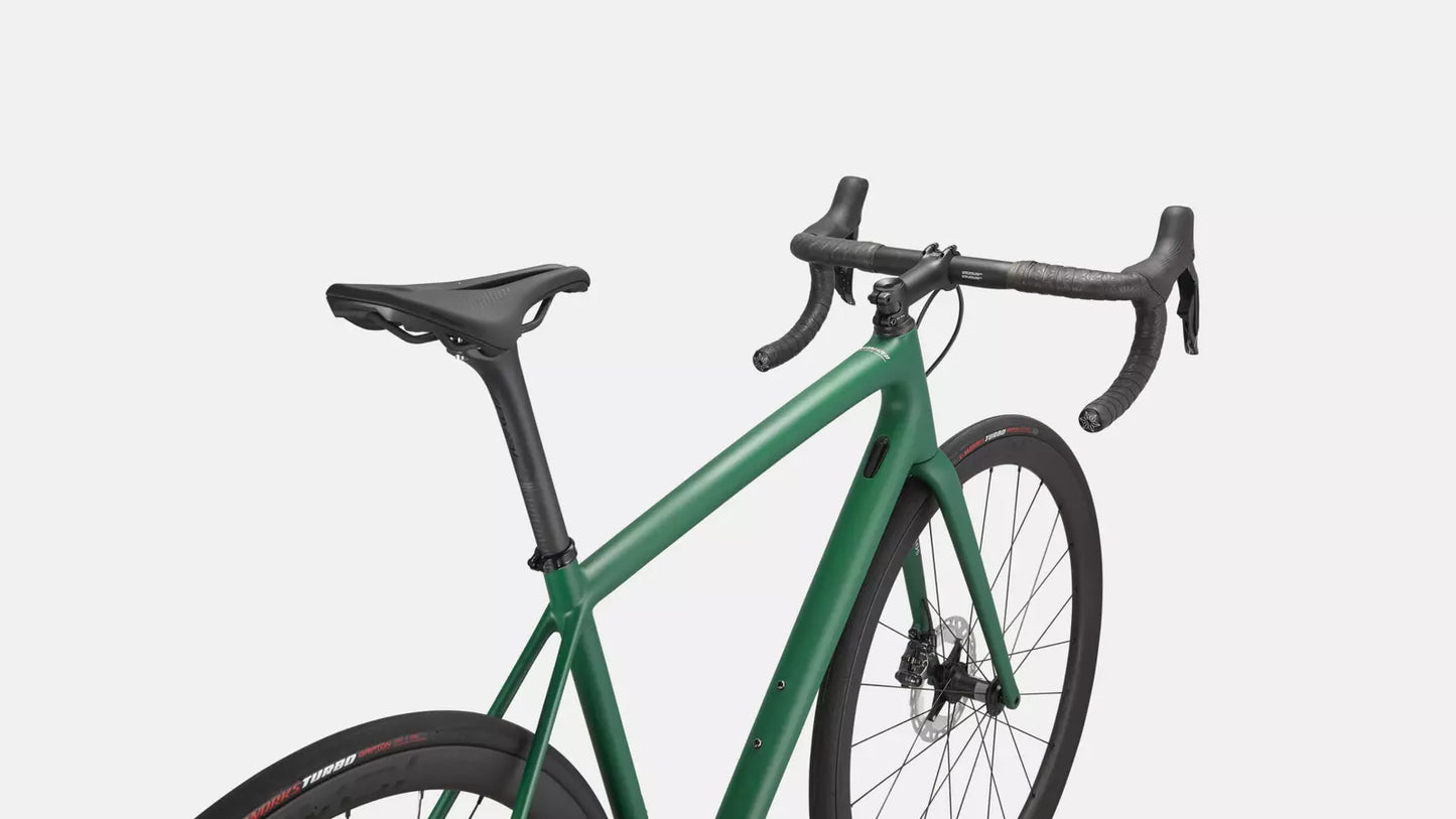 2024 Specialized aethos expert bike pine green / white 61