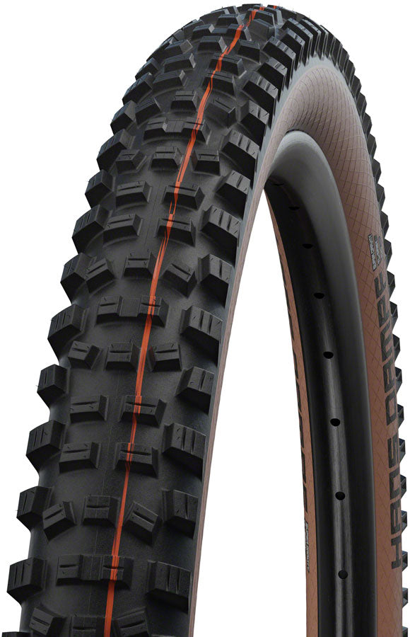 Schwalbe Hans Dampf Tire - 29 x 2.6 Tubeless Folding BLK/Bronze Evolution Line Super Trail Addix SpeedGrip