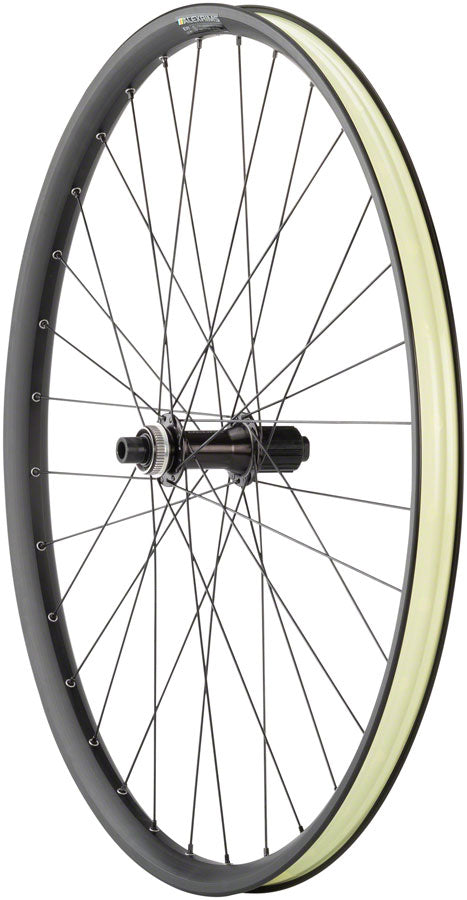 Quality Wheels MTB Ebike Alex EM30 Disc Rear Wheel - 29" QR x 135mm 6-Bolt HG 11 BLK